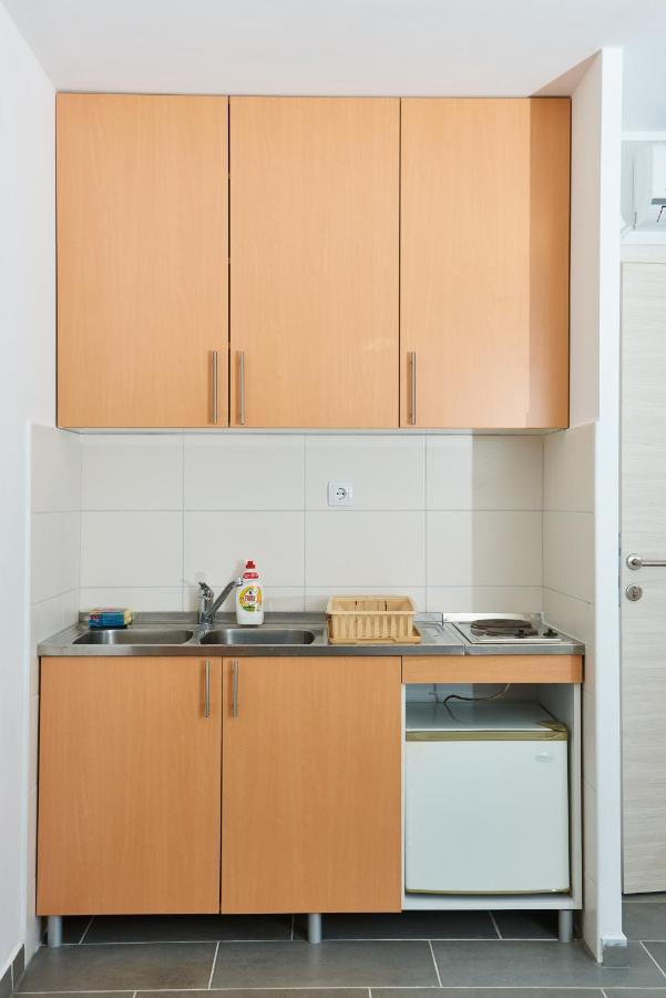 Апартаменты Sakota Family House Sremska Kamenica Экстерьер фото