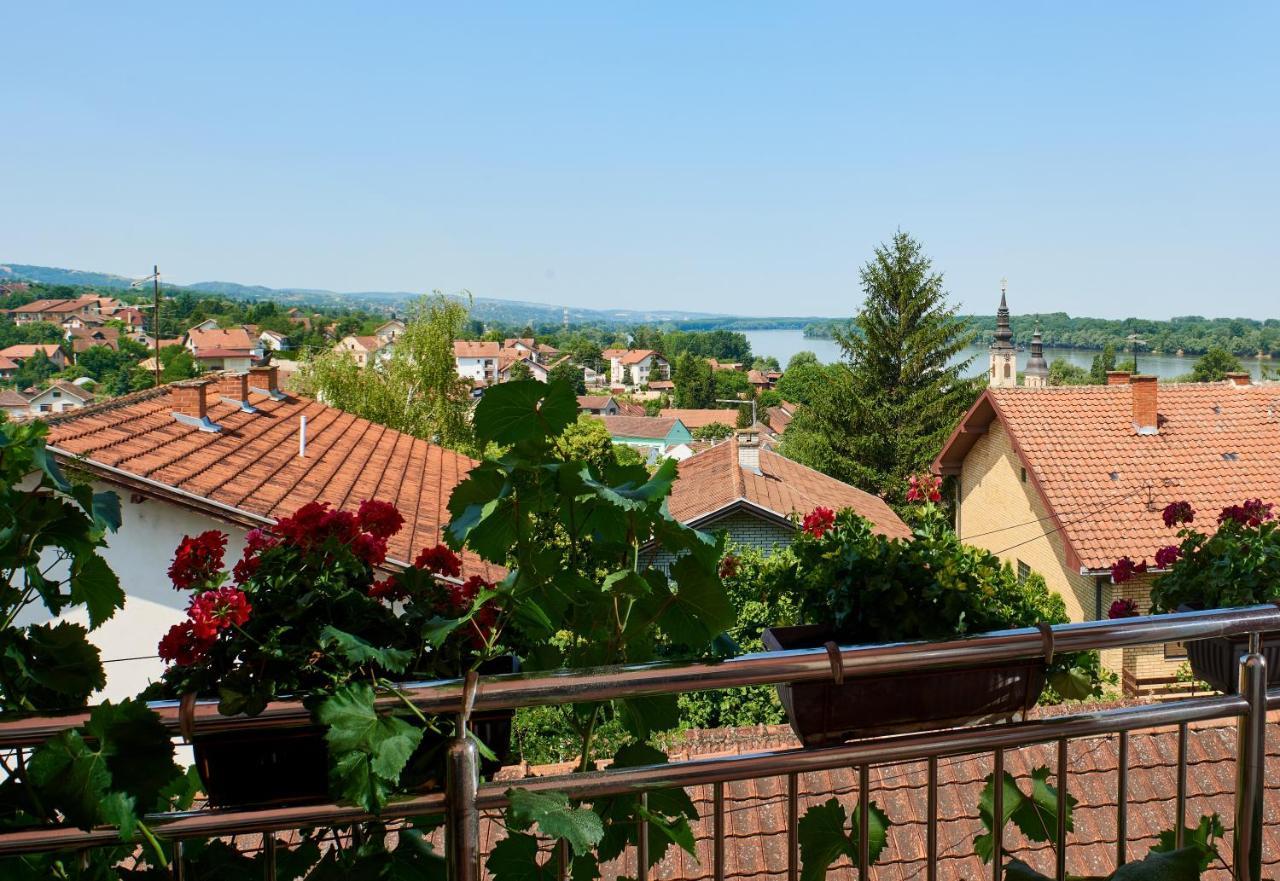 Апартаменты Sakota Family House Sremska Kamenica Экстерьер фото